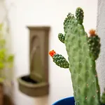 El Hotelito Del - Adults Only Riad