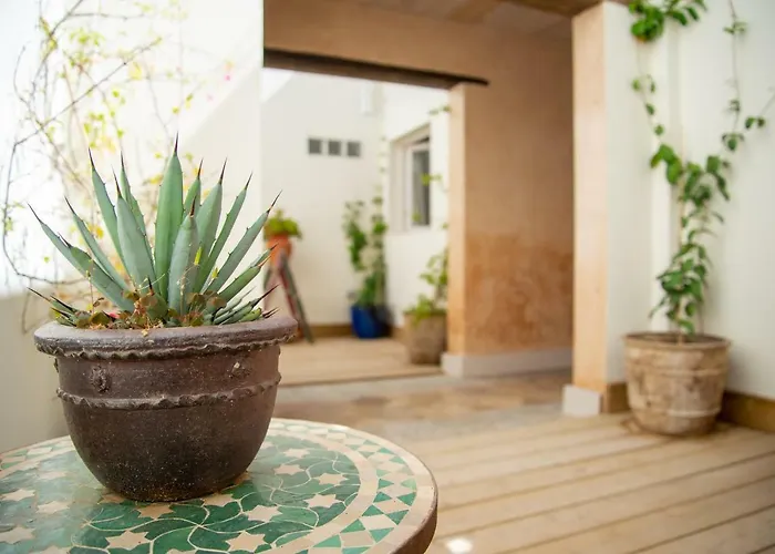 El Hotelito Del - Adults Only