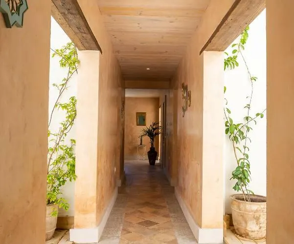 摩洛哥传统庭院住宅 El Hotelito Del - Adults Only 3*